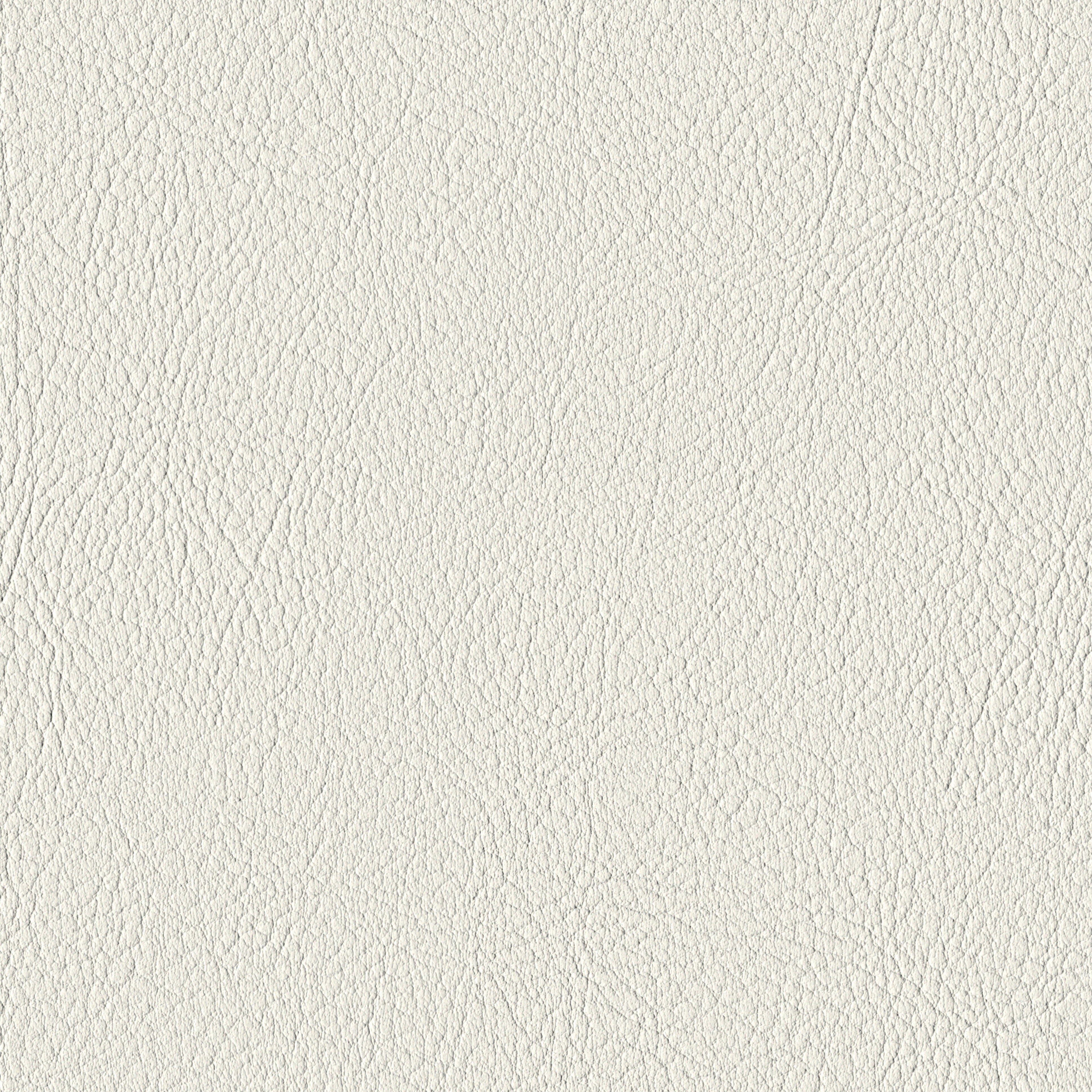 Valencia Pure White