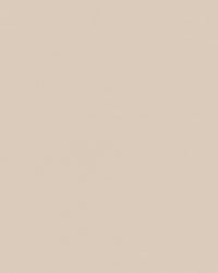 Sunbrella Plus Kapellväv - Oyster