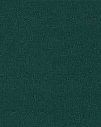 Sunbrella Plus Kapellväv - Forrest Green