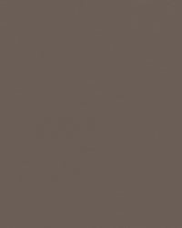 Sunbrella Plus Kapellväv - Taupe