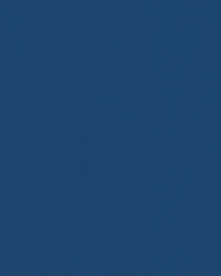 Sunbrella Plus Kapellväv - Arctic Blue