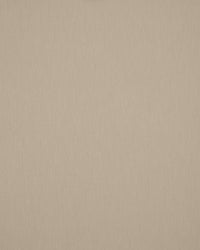 Sunbrella Plus Kapellväv - Papyrus