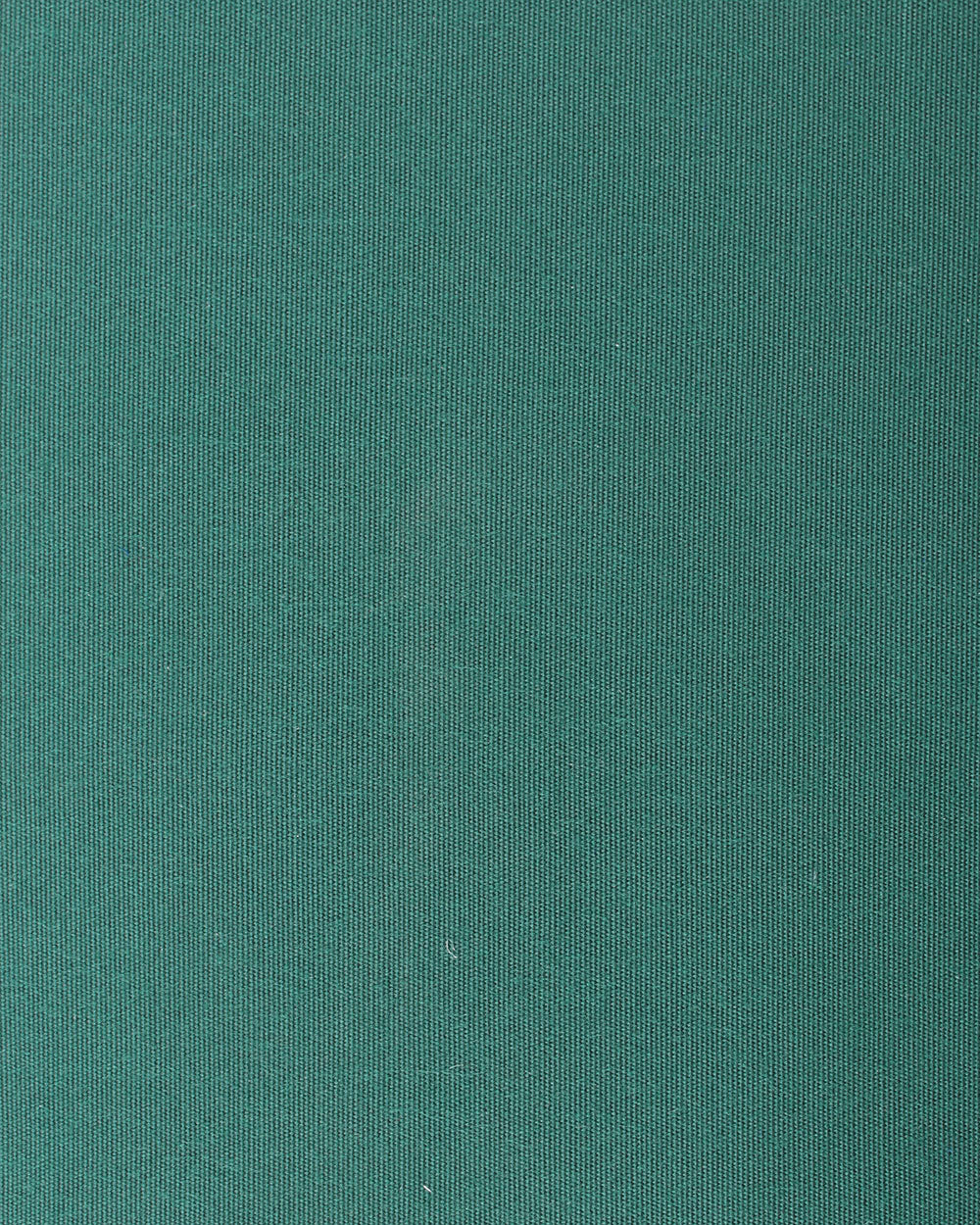 Sauleda Sea Star (S) - Botella (Grön)