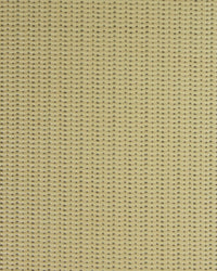 Sunworker - Corn 2:a 125cm