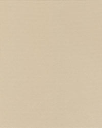 Pacific Top Premium - Linen