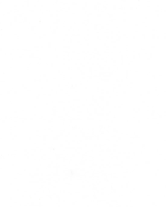 Pacific Top Premium - Creme White