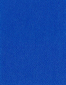Stamoid Light Royal Blue