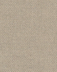 Sunbrella Source Oak