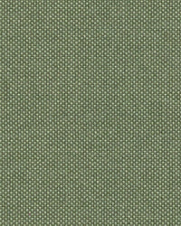 Sunbrella Source Sencha