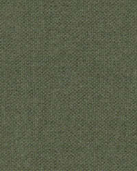 Sunbrella Source Squamarina