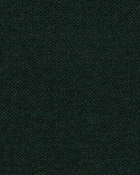 Sunbrella Source Nori