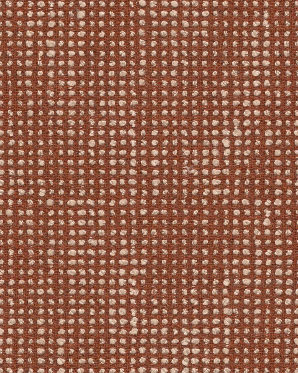 Sunbrella Slow Alezan