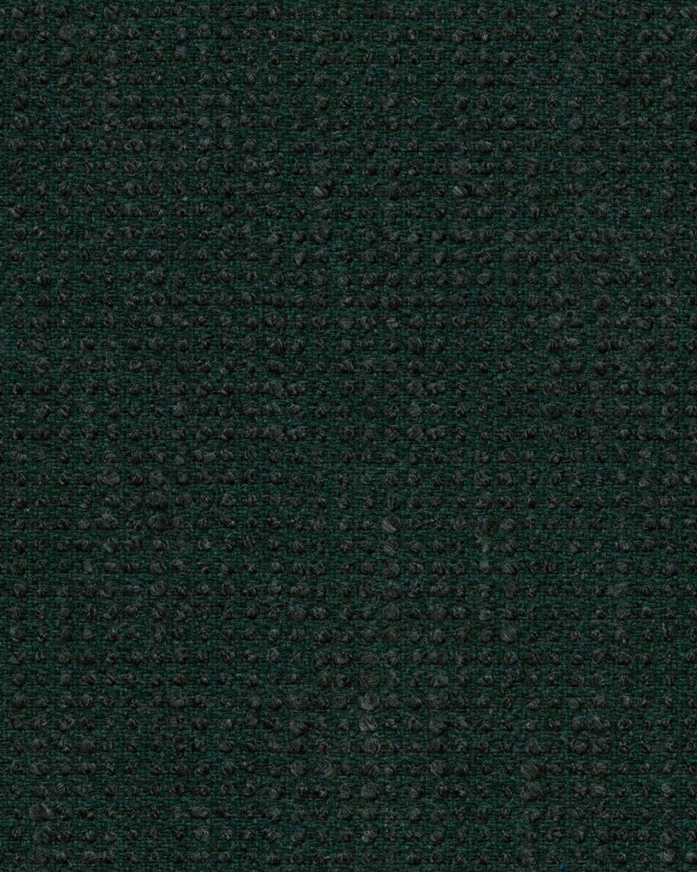 Sunbrella Slow Forest