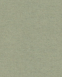 Sunbrella Heritage Moss