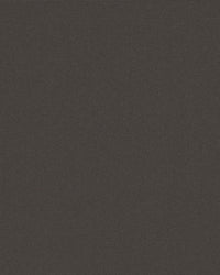 Sunbrella Solids CARBON