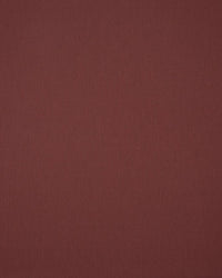 Sunbrella Solids AUTUMN