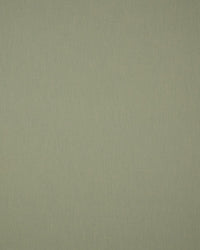 Sunbrella Solids ALMOND