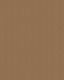 Sunbrella Solids HEATHER BEIGE