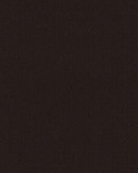 Sunbrella Solids EBENE