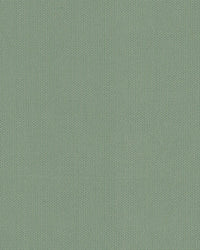 Sunbrella Solids CELADON