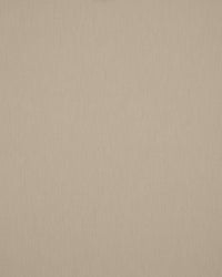 Sunbrella Solids PAPYRUS