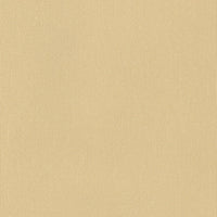 Silvertex - Champagne