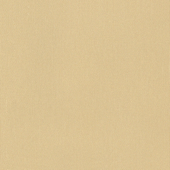 Silvertex - Champagne