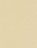 Miami - Avorio - Cremevit