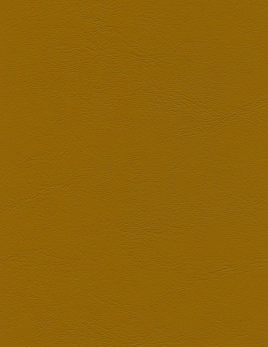 Miami - Mustard - Senap