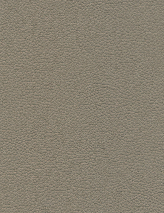 Konstläder för bil EH