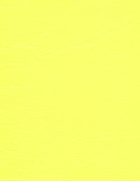 Neon Gul