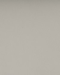 Marlin - BrilliantWhite