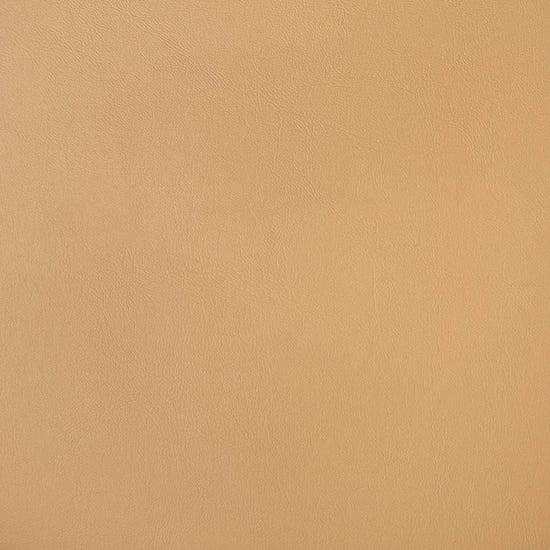 Horizon Capriccio Toast