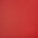 Horizon Capriccio Logo Red