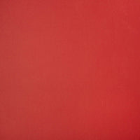 Horizon Capriccio Logo Red