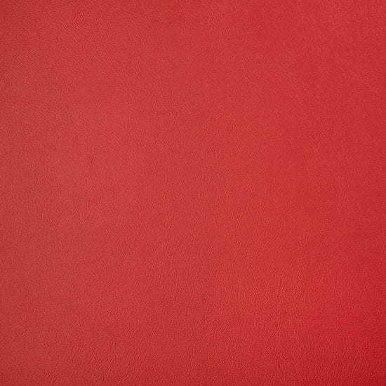 Horizon Capriccio Logo Red