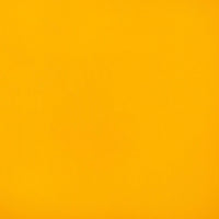 Horizon Capriccio Doubloon