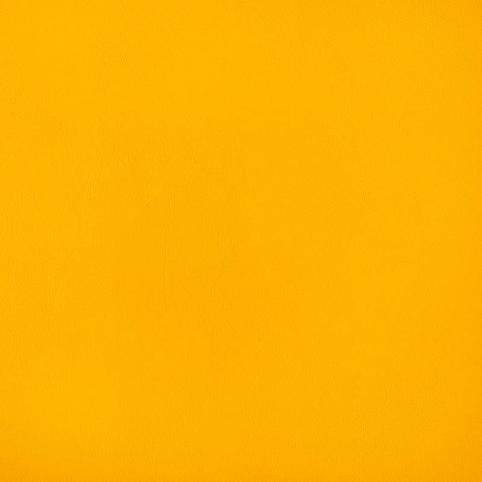 Horizon Capriccio Doubloon