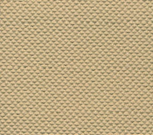 Top Line - Spiklist Ivory Cream Pinpoint