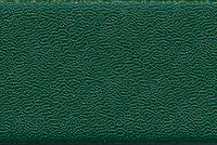 Kantband Stamoid - Evergreen 25mm