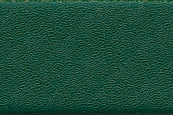 Kantband Stamoid - Evergreen 25mm