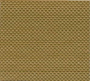 Top Line - Kederlist Buckskin