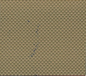 Top Line Kantband - Dark Tan