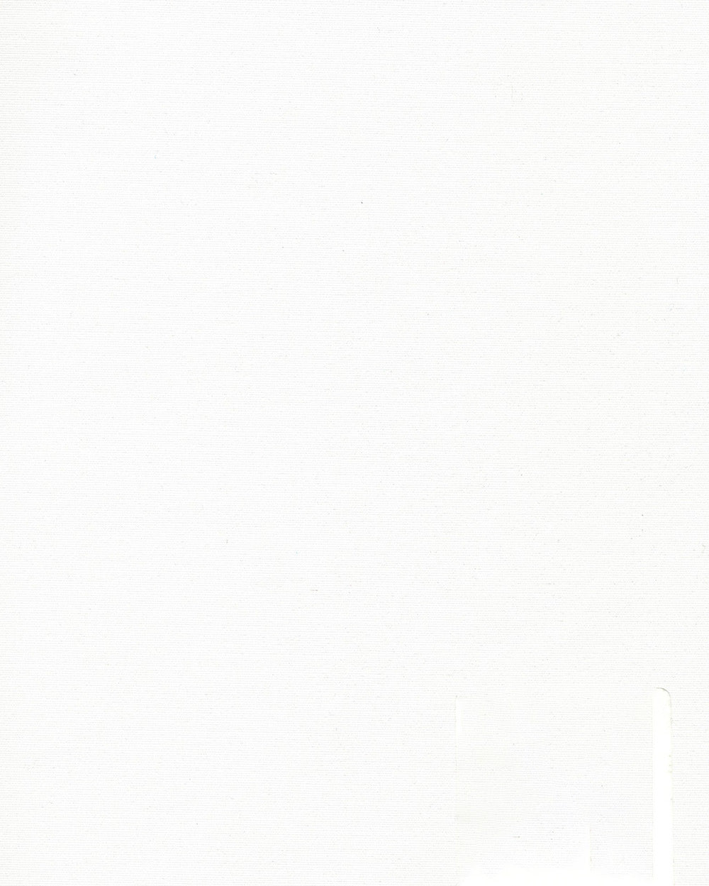 T-Tex - Vit BESTÄLLNINGSVARA