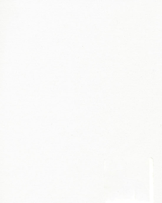 T-Tex - Vit BESTÄLLNINGSVARA