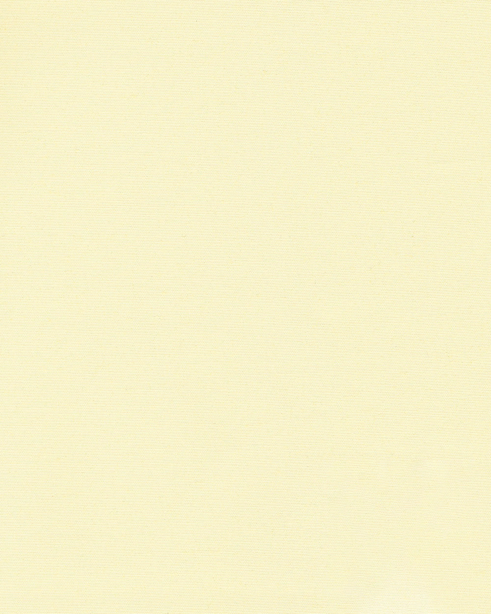 T-Tex - Ljusbeige UTGÅENDE