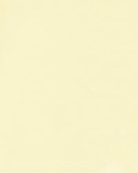 T-Tex - Ljusbeige UTGÅENDE