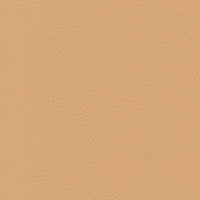 TRENTO - Aprikos/beige