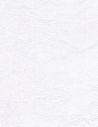 Zander Skrovbeklädnad - Brilliant White