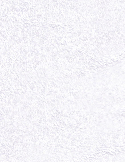 Zander Skrovbeklädnad - Brilliant White